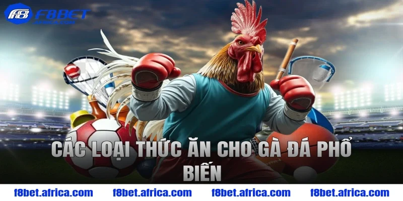 Các loại thức ăn cho gà đá phổ biến