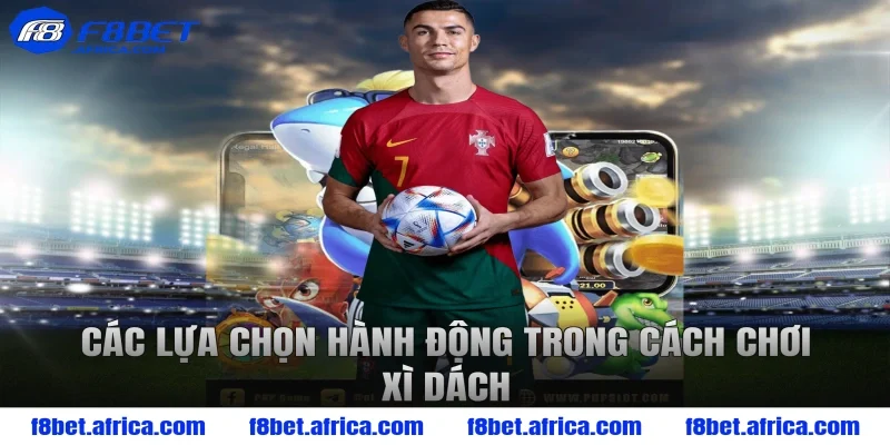 Các lựa chọn hành động trong cách chơi xì dách