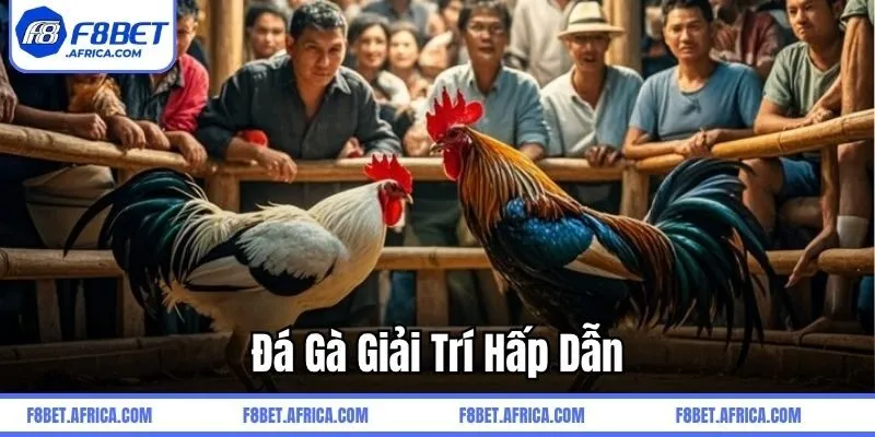 Đá gà giải trí hấp dẫn