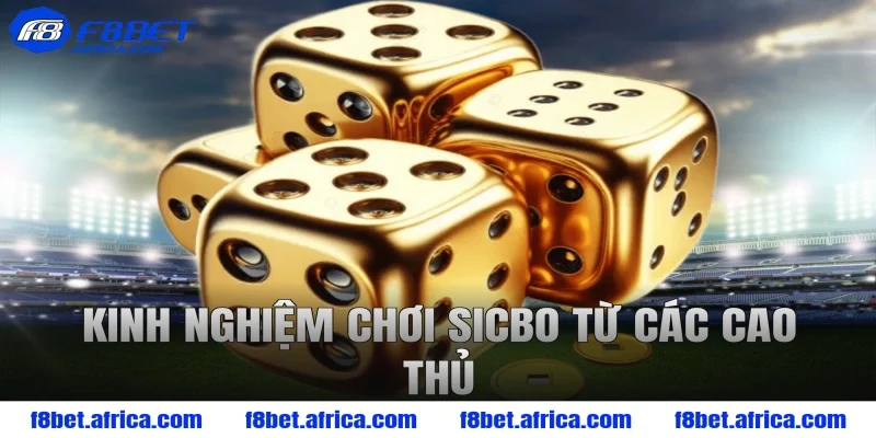Kinh nghiệm chơi sicbo từ các cao thủ