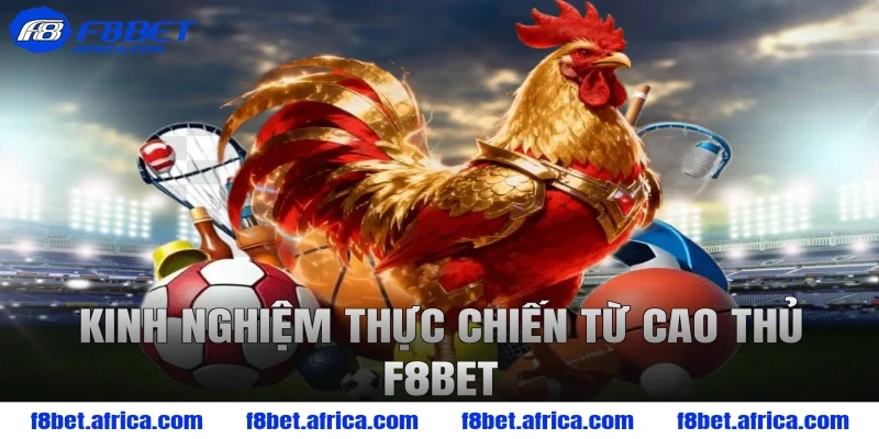 Kinh nghiệm thực chiến từ cao thủ F8BET