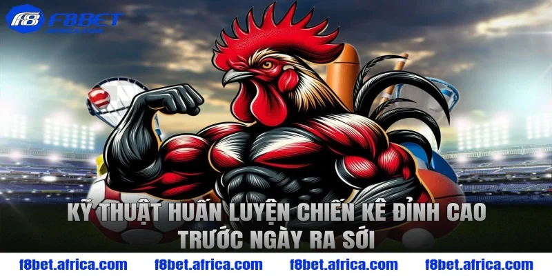 Kỹ thuật huấn luyện chiến kê đỉnh cao trước ngày ra sới