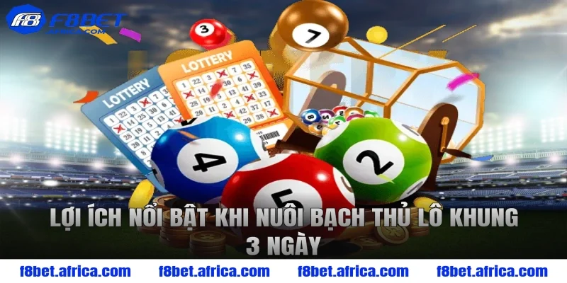 Lợi ích nổi bật khi nuôi bạch thủ lô khung 3 ngày