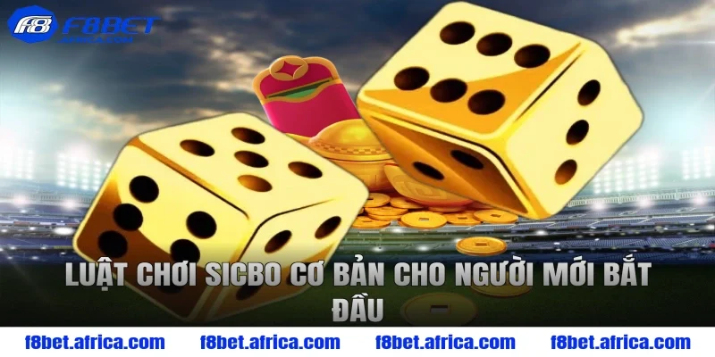 Luật chơi sicbo cơ bản cho người mới bắt đầu