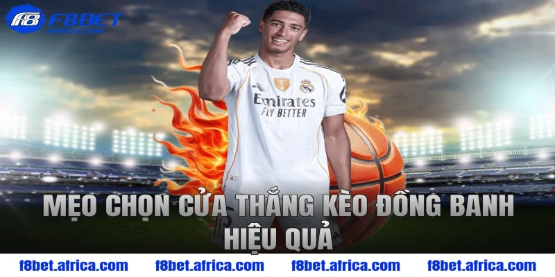 Mẹo chọn cửa thắng kèo đồng banh hiệu quả