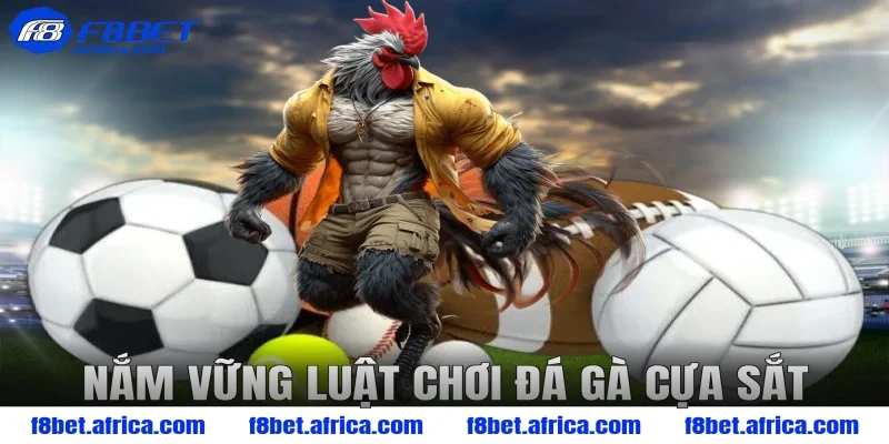 Nắm Vững Luật Chơi Đá Gà Cựa Sắt