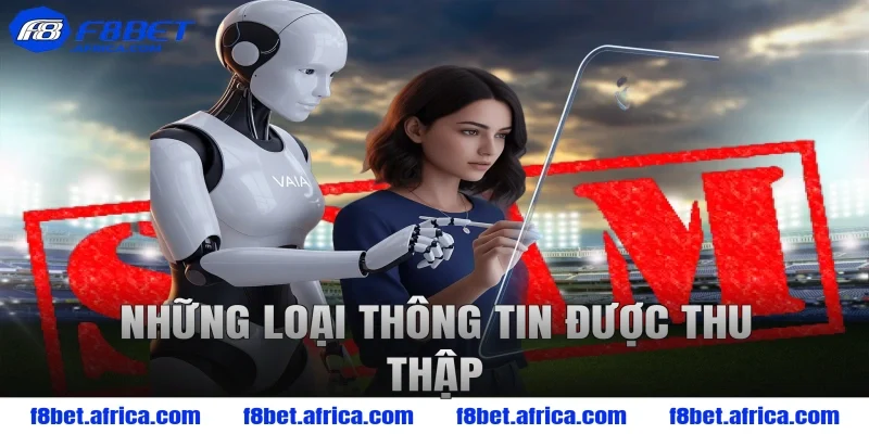 Những Loại Thông Tin Được Thu Thập