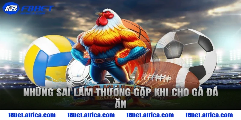 Những sai lầm thường gặp khi cho gà đá ăn