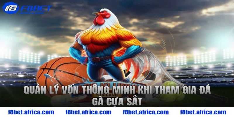Quản Lý Vốn Thông Minh Khi Tham Gia Đá Gà Cựa Sắt