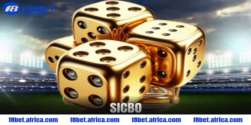 Sicbo Là Gì? Hướng Dẫn Chơi Tài Xỉu Sicbo Cho Người Mới