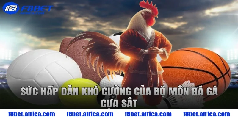 Sức Hấp Dẫn Khó Cưỡng Của Bộ Môn Đá Gà Cựa Sắt 